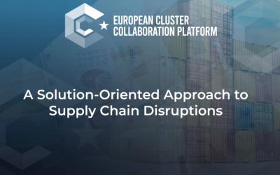 Survey: A Solutions-Oriented Approach to Supply Chain Disruptions on behalf of the European Commission