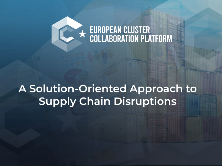 Survey: A Solutions-Oriented Approach to Supply Chain Disruptions on behalf of the European Commission